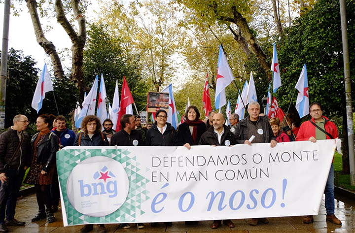 O BNG demanda un cambio na política forestal que permita xerar riqueza e loitar contra a emerxencia climática