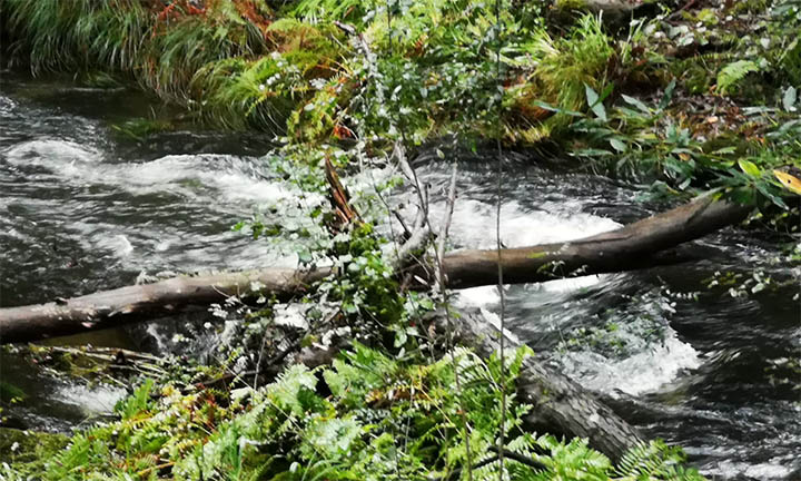 Os socialistas pontevedreses esixen a augas de Galicia que se ocupe dos problemas reais, como a  limpeza dos ríos, en lugar de “inventos anti-concellos” como a Sogama da auga