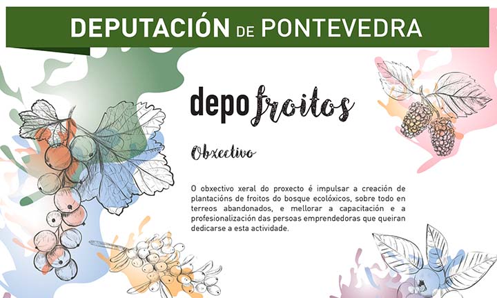 O CDL acollerá unha acción formativa que impulsará a plantación de froitos do bosque