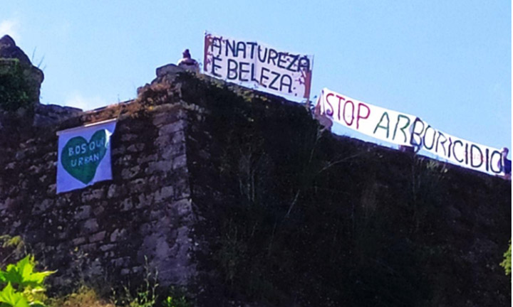 Vigo, STOP arboricidio
