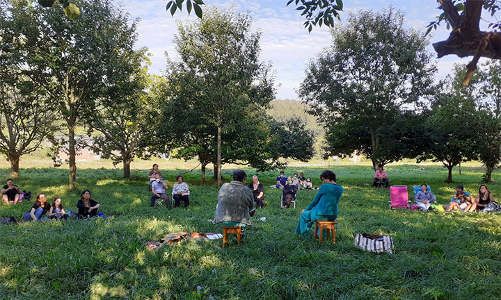 Verdes são os campos… e verde é a cultura que neles medra