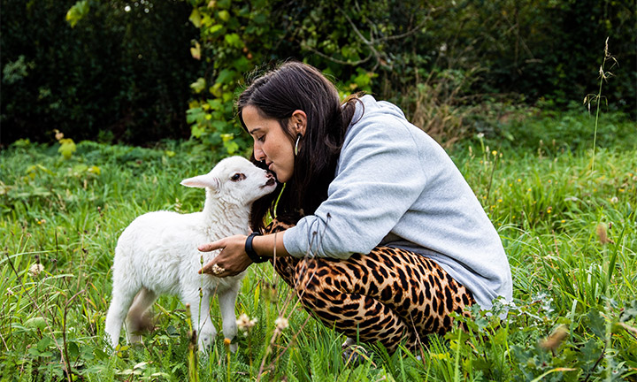 Os 250 animais acollidos no Santuario Vacaloura poden quedar sen fogar