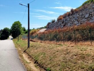 herbicidas na limpeza do Aeroporto de Vigo