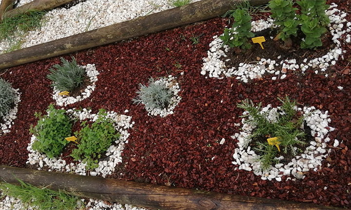 O alumnado do CEIP de Rebordáns preparou sobres con plantas medicinais para os peregrinos