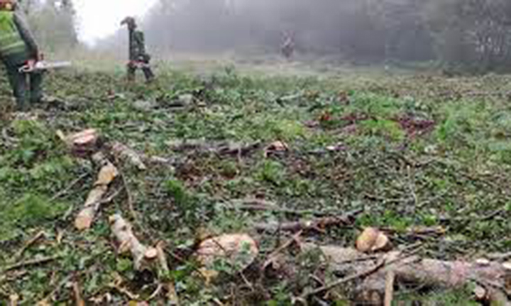Denuncian as malas prácticas de Naturgy coa complicidade de Medio Rural