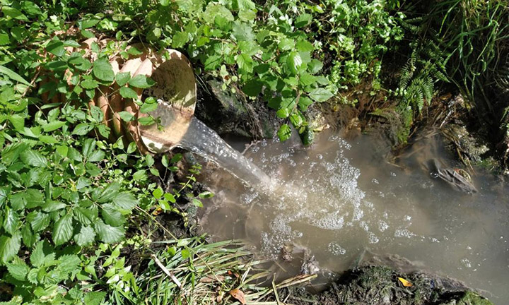 A agrupación redondelá comprométese a sufragar un estudo das augas do río se a situación continúa sen solventarse