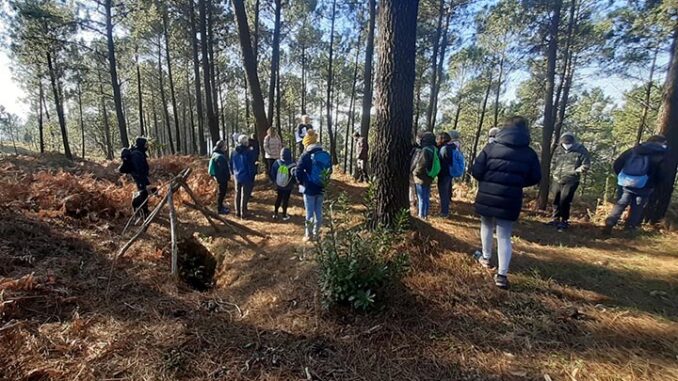 Mina de ouro Val das Bornas