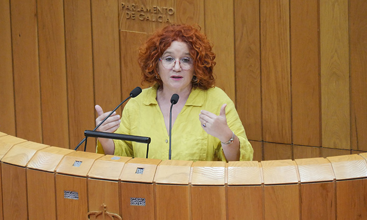 O BNG reclama aumentar un 25 % o orzamento da Atención Primaria e rematar coa derivación de recursos á privada