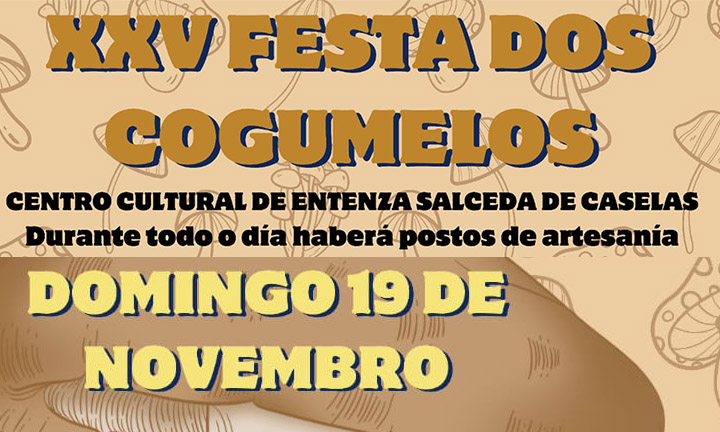 XXV Festa do Cogumelo