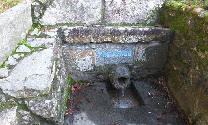 COUSAS DE SALVATERRA