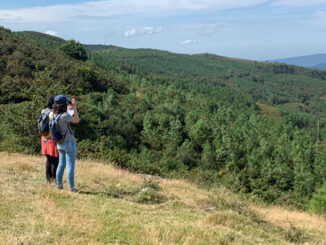 A Comunidade de Montes de Antas en pé contra o abuso do parque eólico de Monte Peón