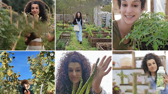 A Comunidade de Montes de Tameiga