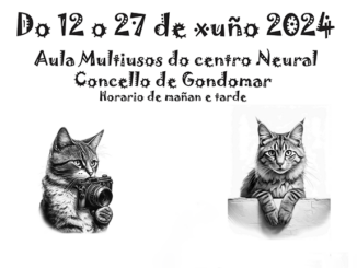 Proyecto Gato