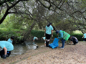 Redondela retira máis de 200 quilos de lixo do río Maceiras
