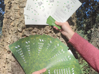 Tomiño segue rodeándose de vida, agasallando especies autóctonas como método para previr incendios forestais