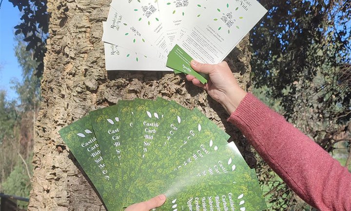 Tomiño segue rodeándose de vida, agasallando especies autóctonas como método para previr incendios forestais