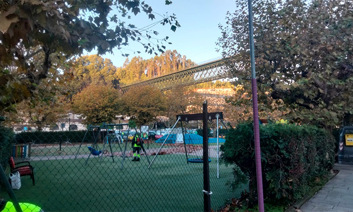 O BNG demanda ao goberno de Digna Rivas unhas podas da Alameda axustadas