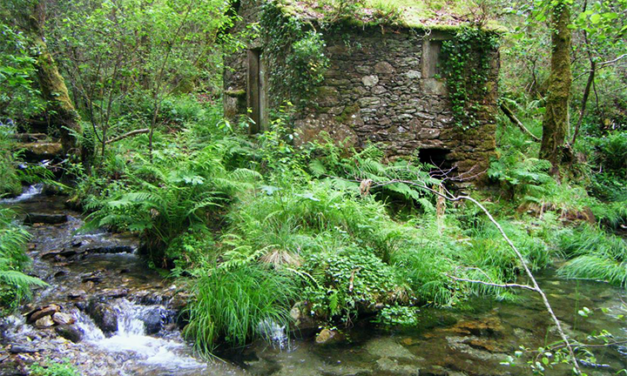 Principais atractivos turísticos do Concello de Forcarei: