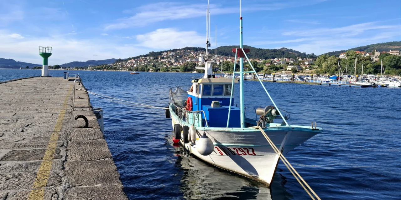 A situación do sector do marisqueo na enseada de San Simón