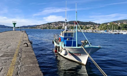 A situación do sector do marisqueo na enseada de San Simón