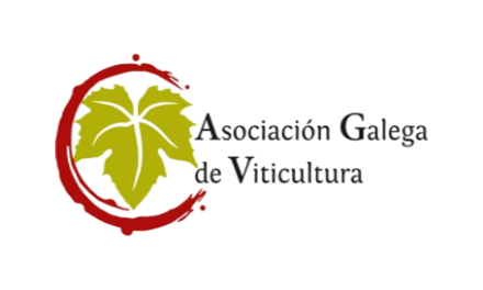 As axudas da Xunta ás adegas para mercar uva non garanten un prezo xusto ao viticultor