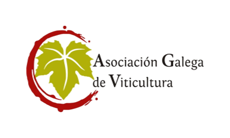As axudas da Xunta ás adegas para mercar uva non garanten un prezo xusto ao viticultor