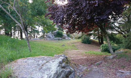 A Comunidade de Montes de Teis recibe 20.000 euros dunha fundación holandesa para continuar a recuperación do bosque autóctono